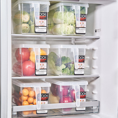 Food refrigerator container 02